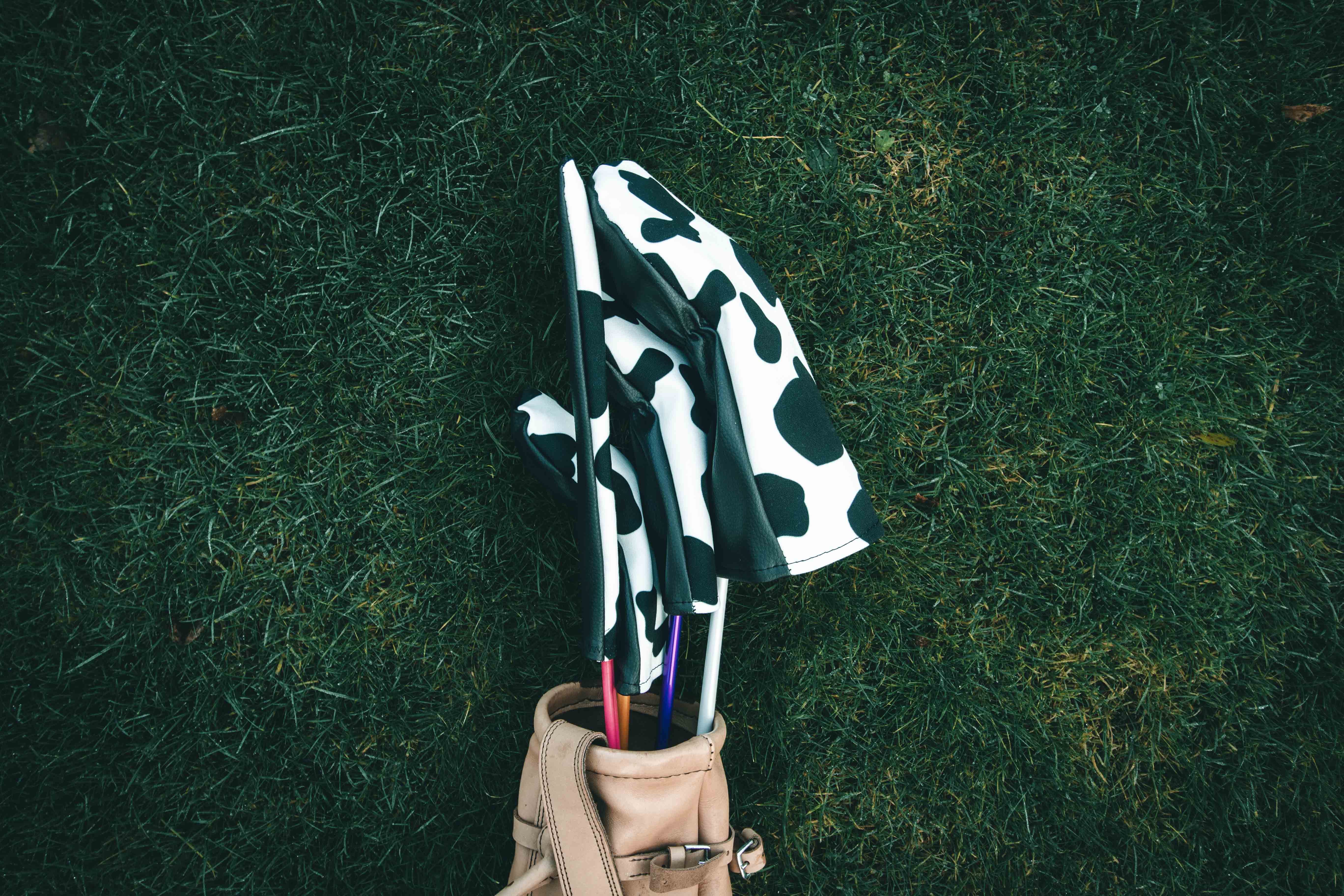 Cow Headcovers