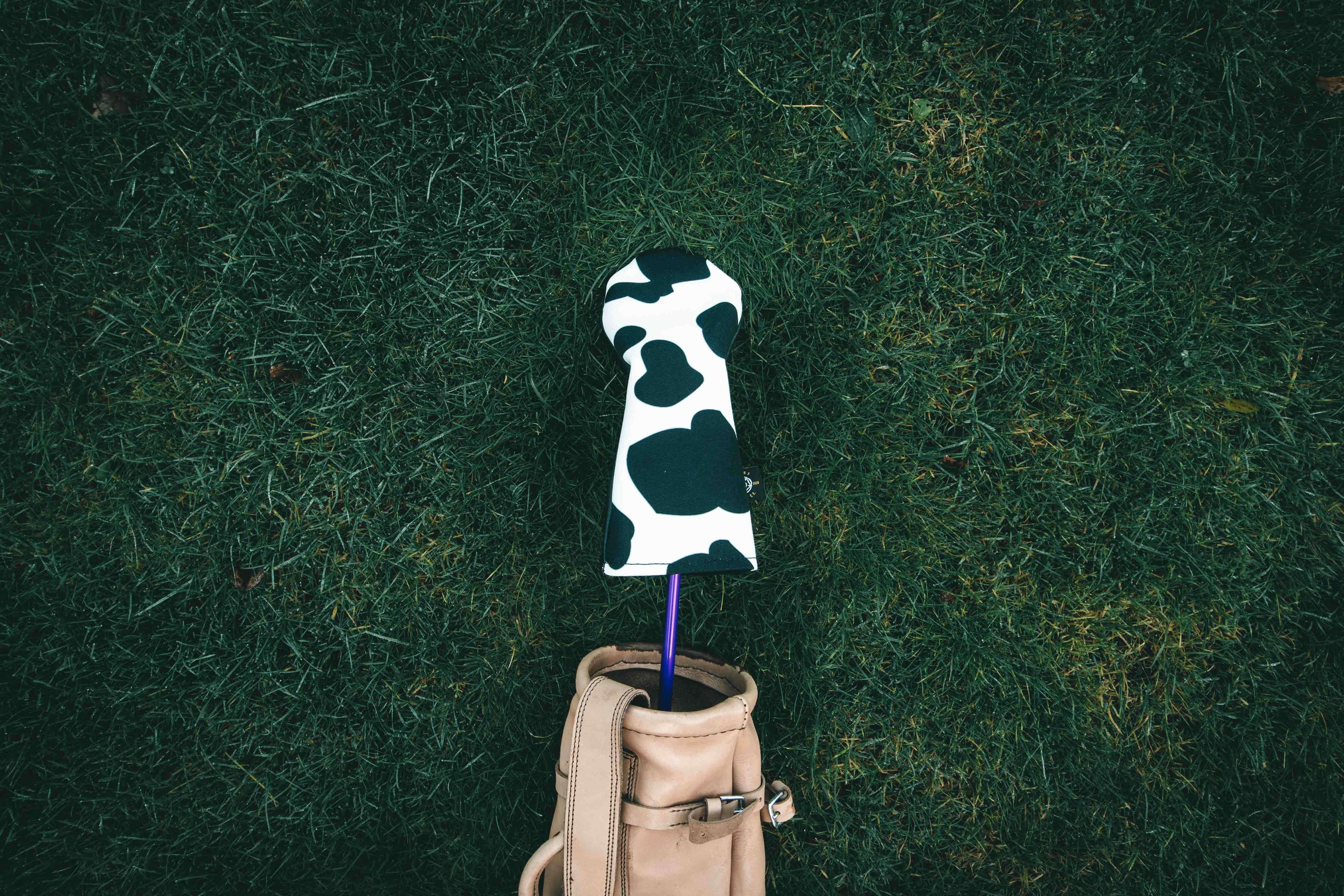 Cow Headcovers