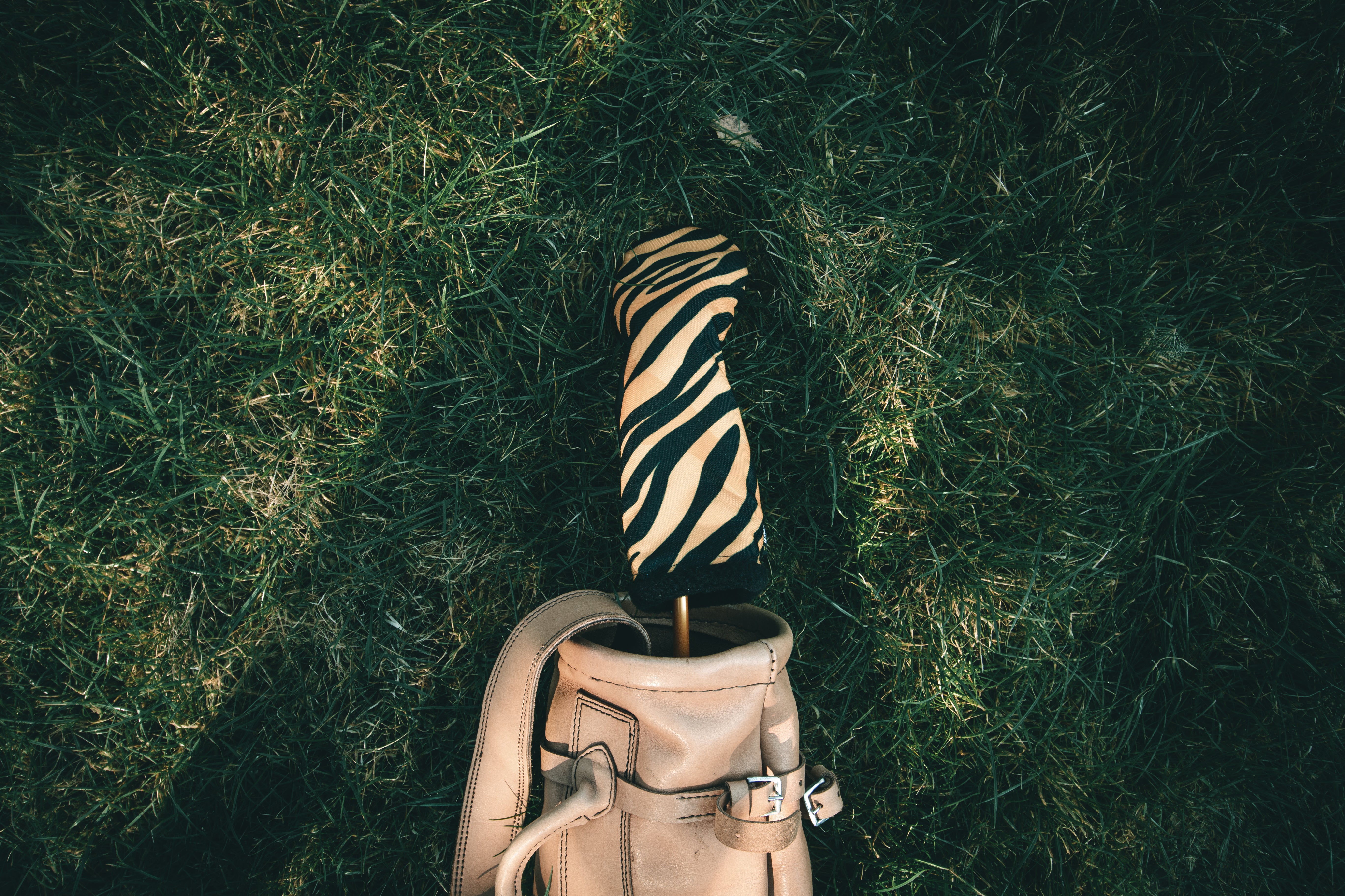 Tiger Headcovers